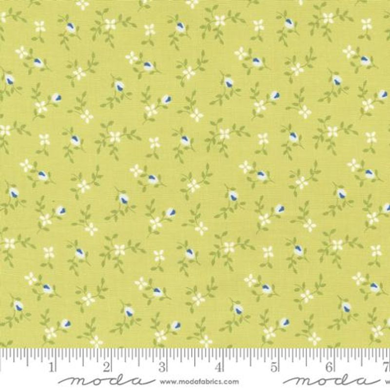 Cali & co. lime