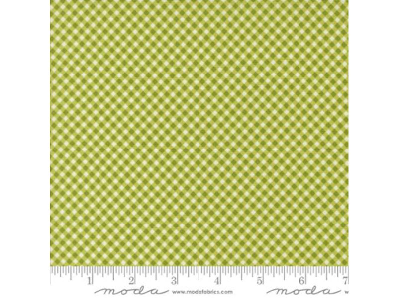Raspberry summer lime gingham